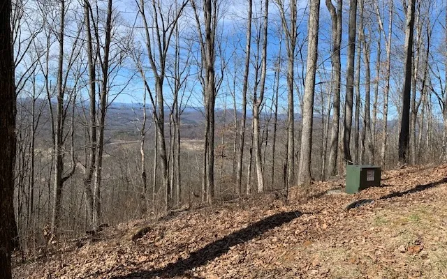 Lot 2 Rocky Knob Estates Young Harris, GA 30582