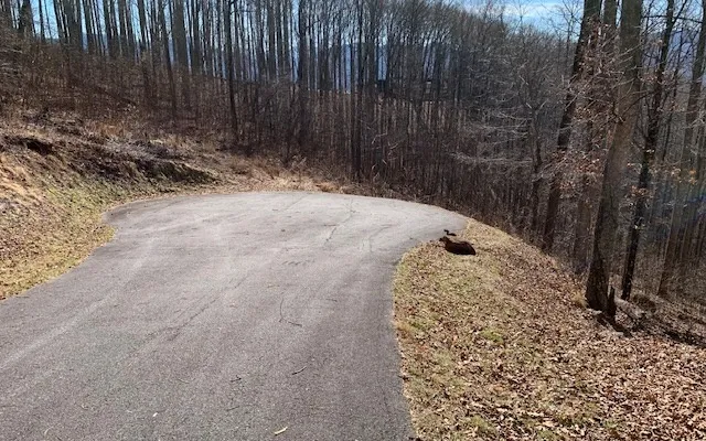 Lot 2 Rocky Knob Estates Young Harris, GA 30582
