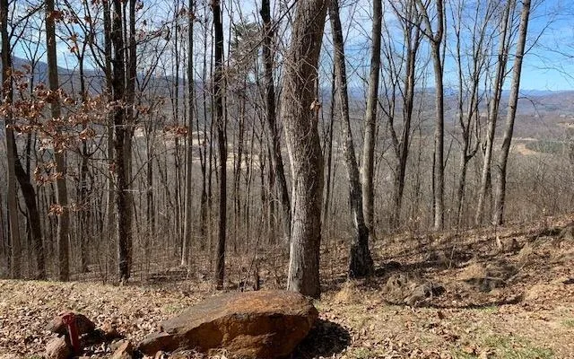 Lot 2 Rocky Knob Estates Young Harris, GA 30582