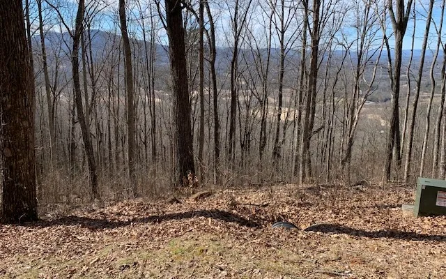Lot 2 Rocky Knob Estates Young Harris, GA 30582