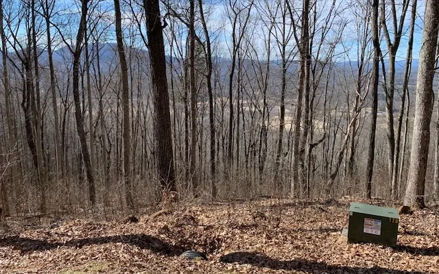 Lot 2 Rocky Knob Estates Young Harris, GA 30582
