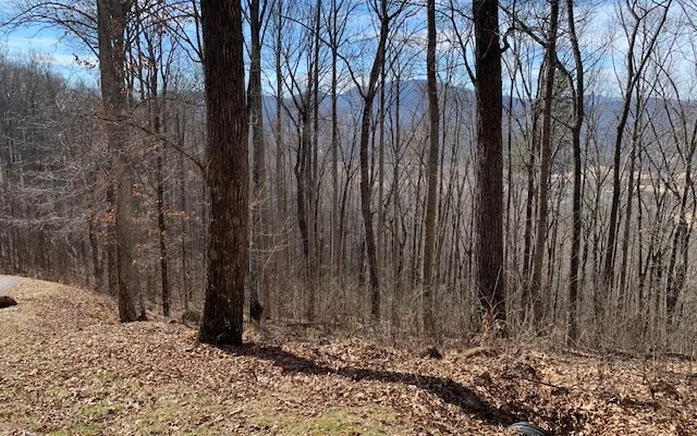 Lot 2 Rocky Knob Estates Young Harris, GA 30582