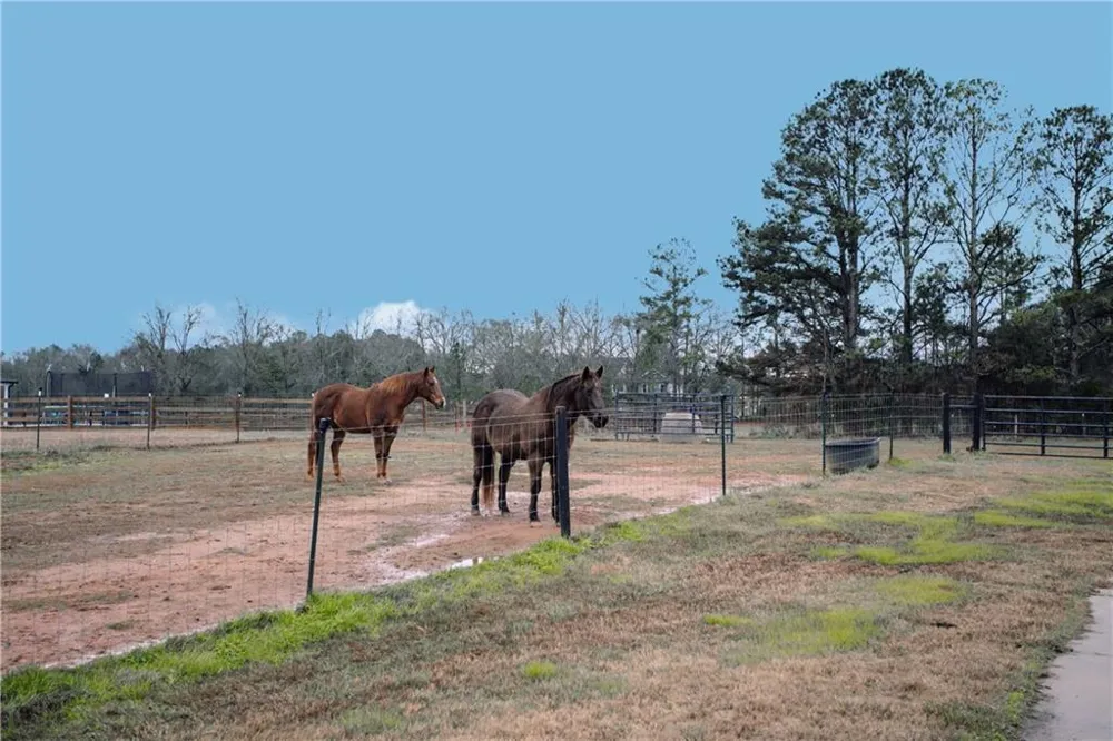 3221 Hollonville Road Williamson, GA 30292