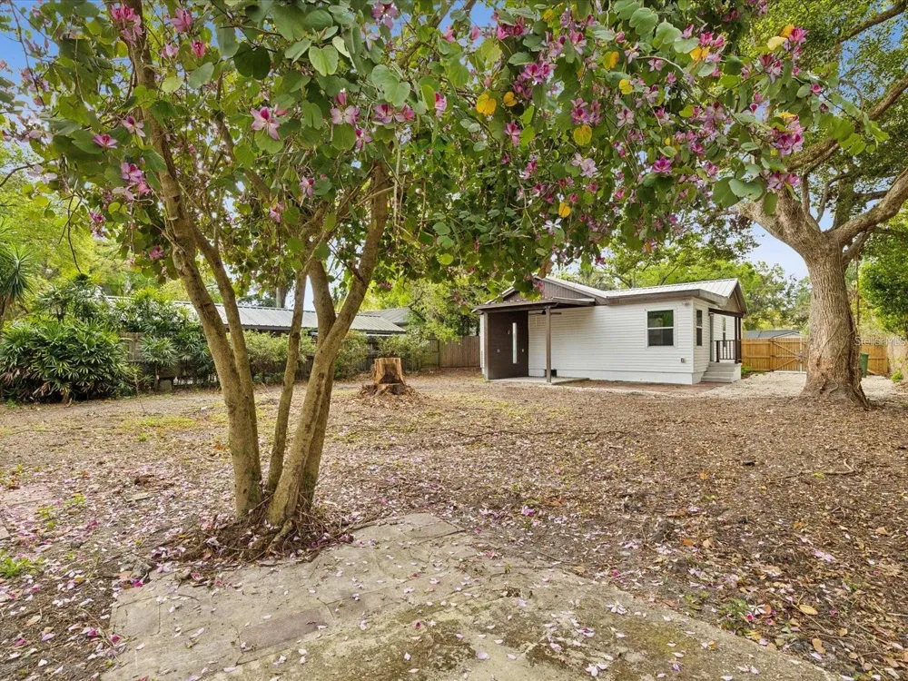 1008 E NORFOLK STREET Tampa, FL 33604