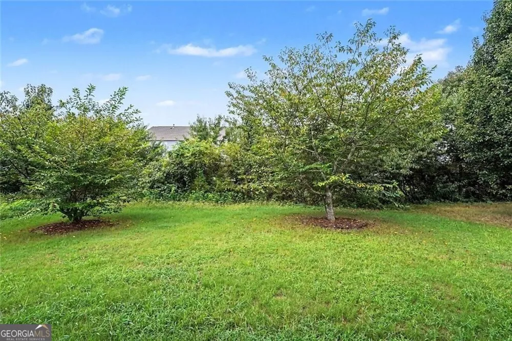 969 Parkside Place AVE McDonough, GA 30253