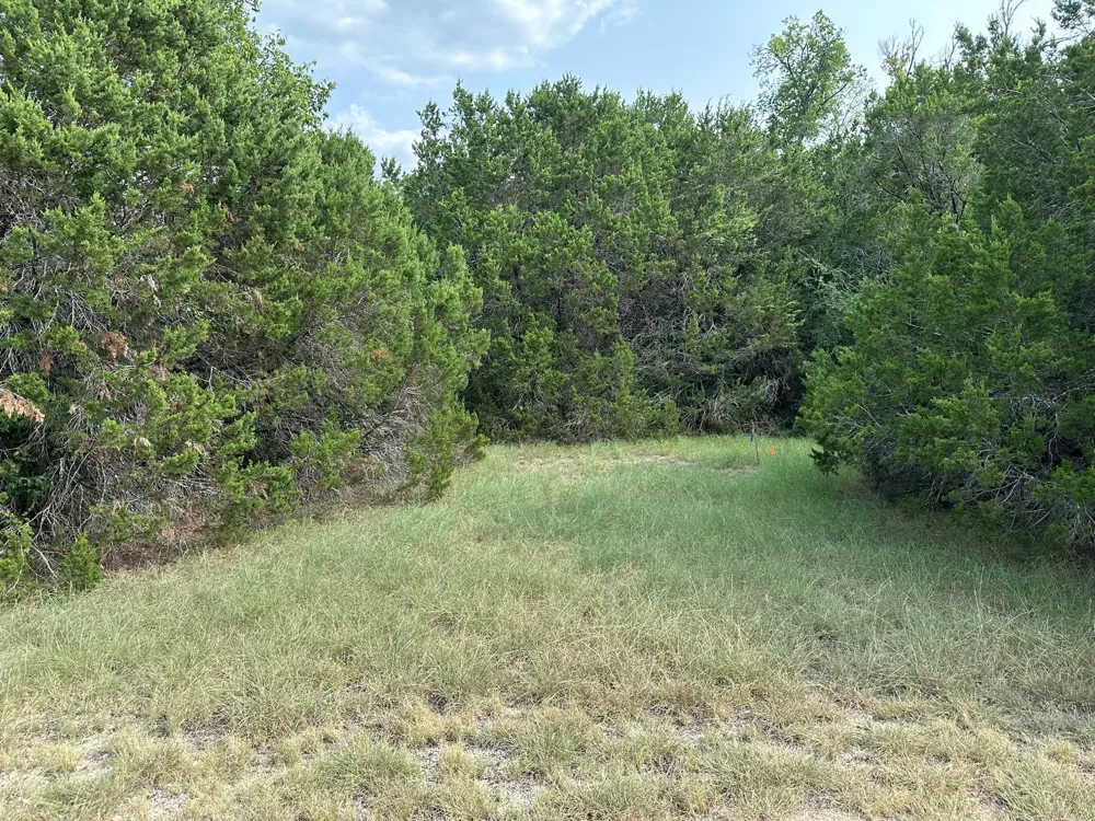 40023 Brentwood Drive Whitney, TX 76692