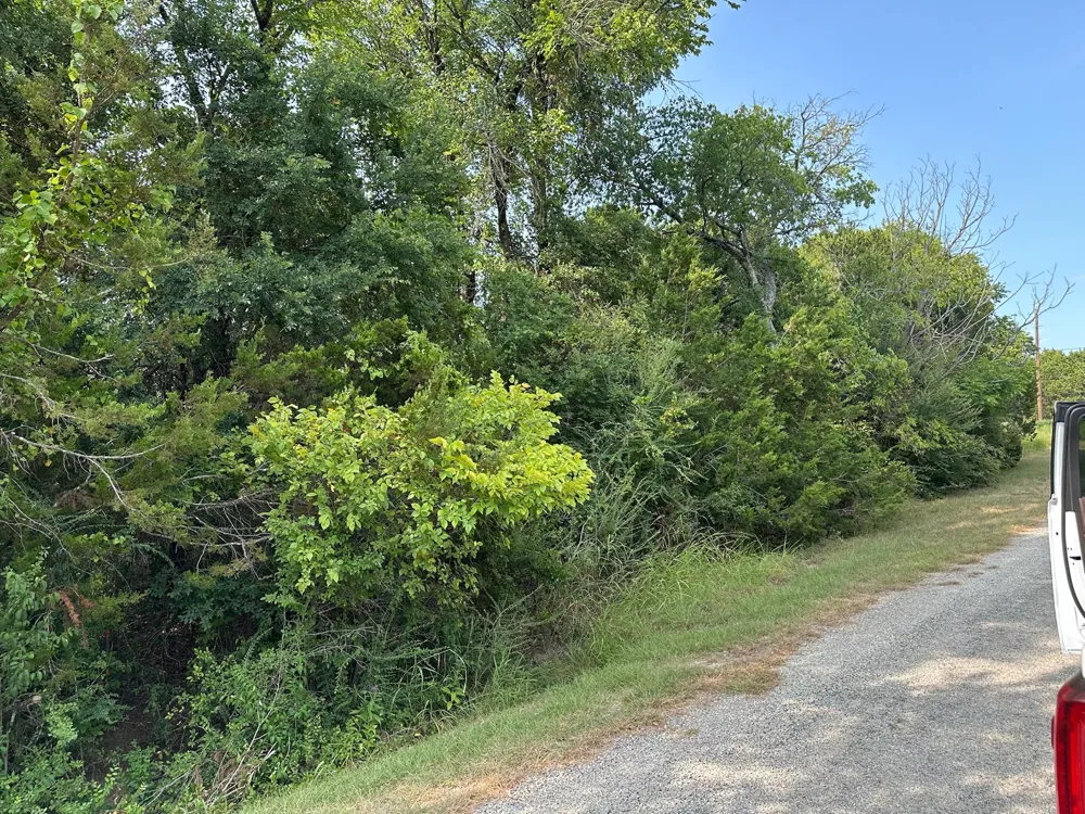 40023 Brentwood Drive Whitney, TX 76692