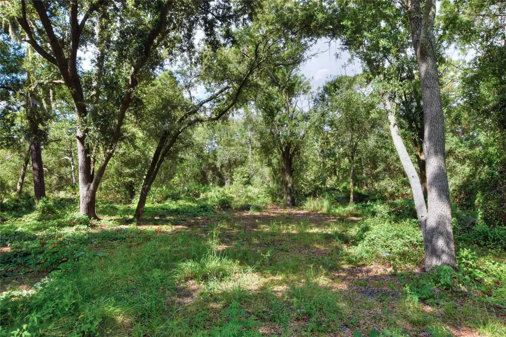 SE 33RD STREET Ruskin, FL 33570