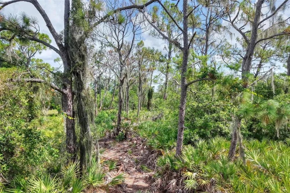 SE 33RD STREET Ruskin, FL 33570