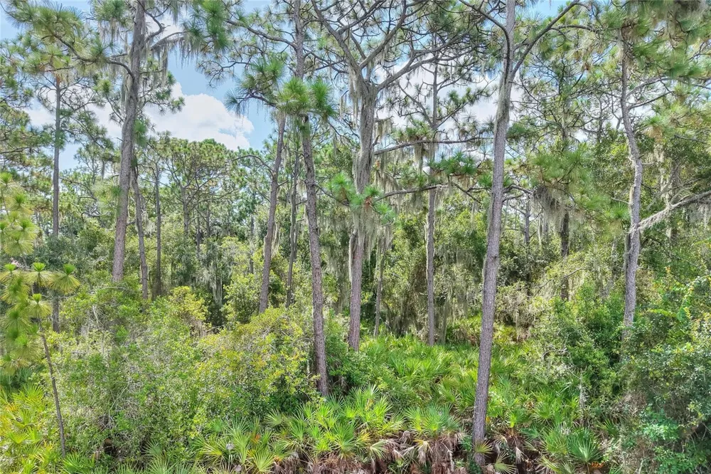 SE 33RD STREET Ruskin, FL 33570