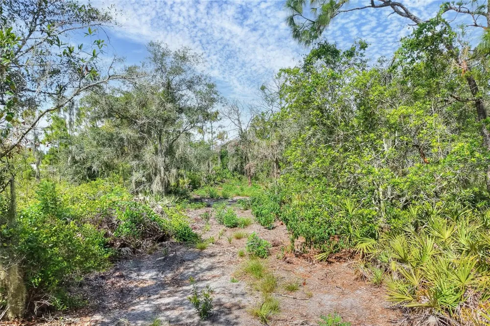 SE 33RD STREET Ruskin, FL 33570
