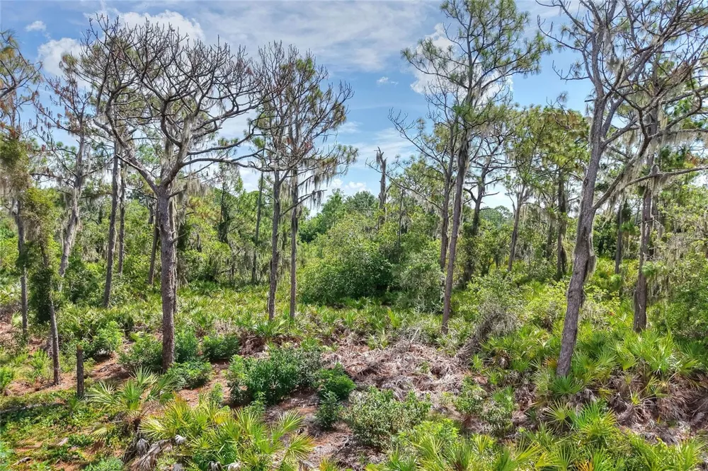 SE 33RD STREET Ruskin, FL 33570
