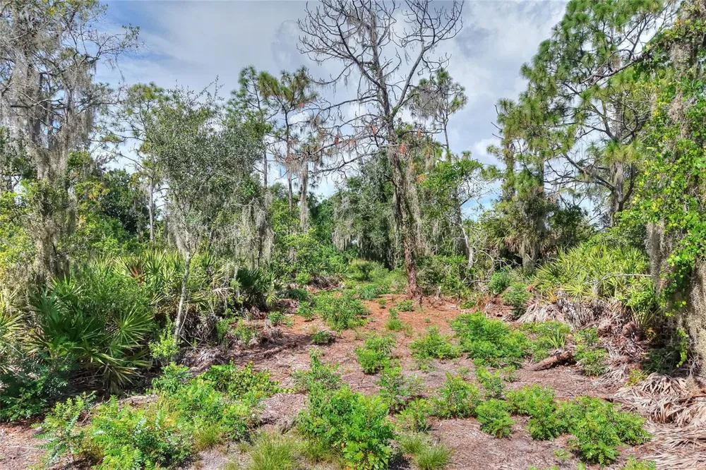 SE 33RD STREET Ruskin, FL 33570