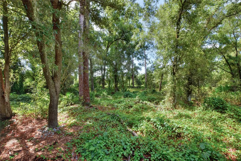 SE 33RD STREET Ruskin, FL 33570