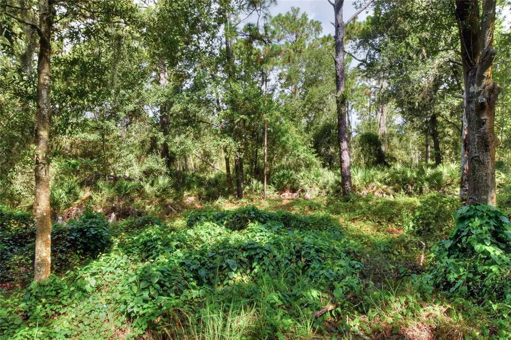 SE 33RD STREET Ruskin, FL 33570