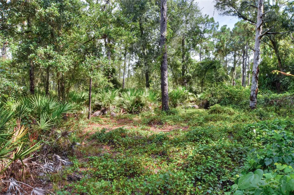 SE 33RD STREET Ruskin, FL 33570