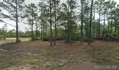 10599 CALDERA AVENUE Citrus Springs, FL 34433