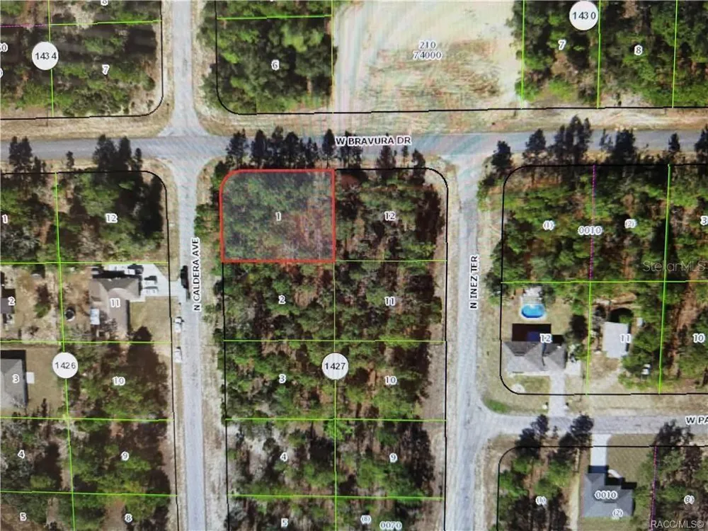 10599 CALDERA AVENUE Citrus Springs, FL 34433