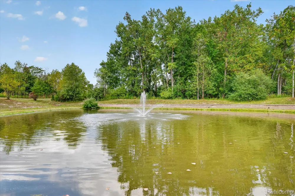 292 Cherry Stone Drive Canton Charter Township, MI 48188