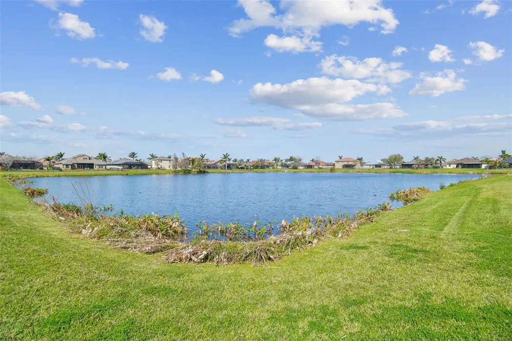 5108 BUTTERFLY SHELL DRIVE Apollo Beach, FL 33572
