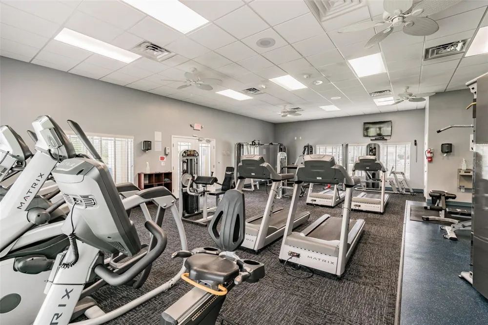 5108 BUTTERFLY SHELL DRIVE Apollo Beach, FL 33572