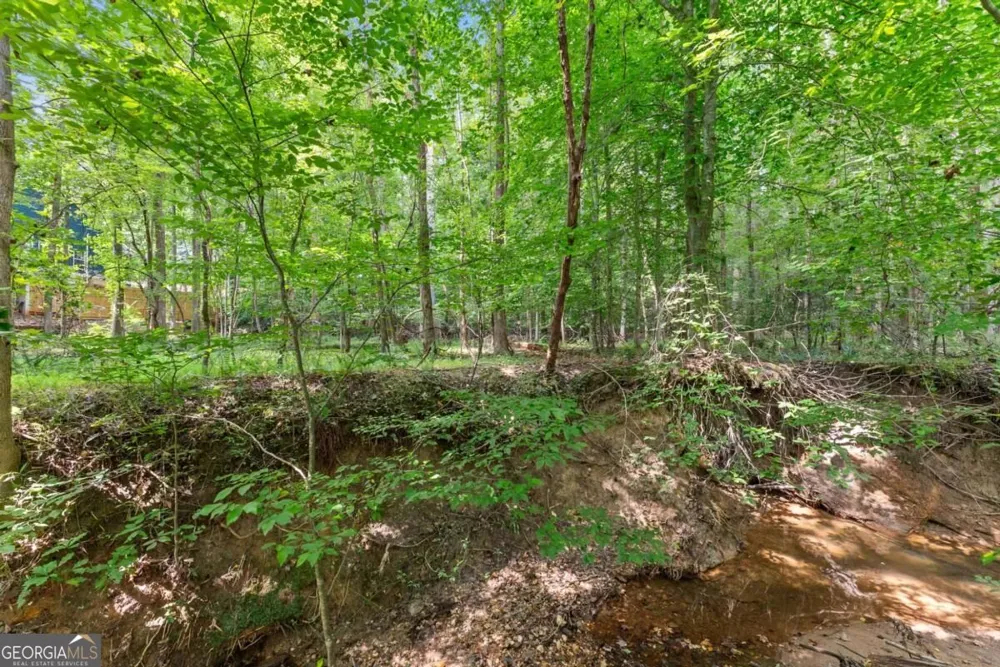 5720 Winding Rose TRL Flowery Branch, GA 30542