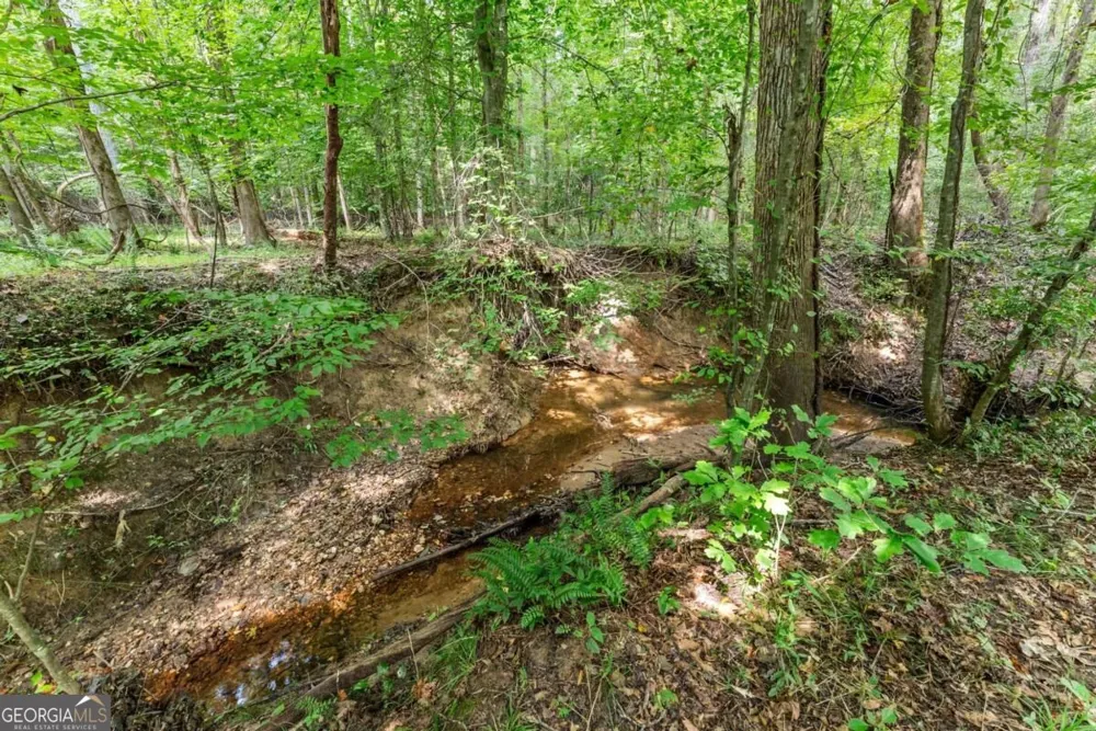 5720 Winding Rose TRL Flowery Branch, GA 30542