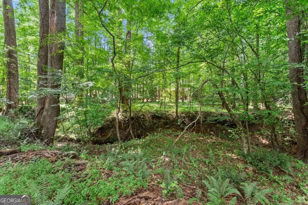 5720 Winding Rose TRL Flowery Branch, GA 30542