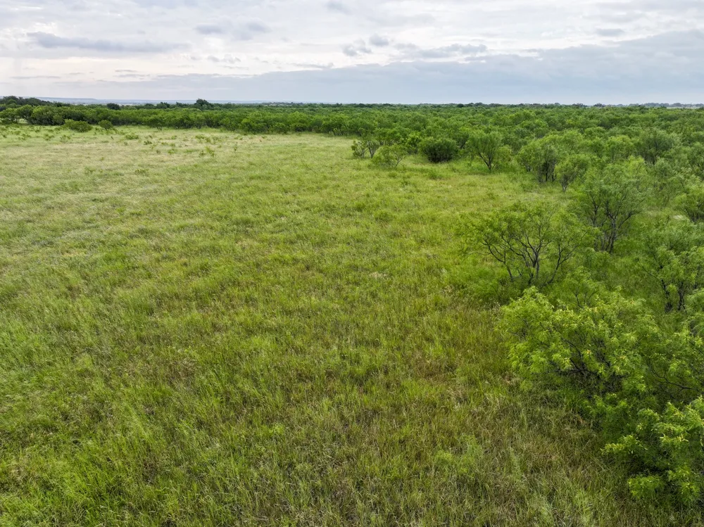 152 Badger Den Tuscola, TX 79562