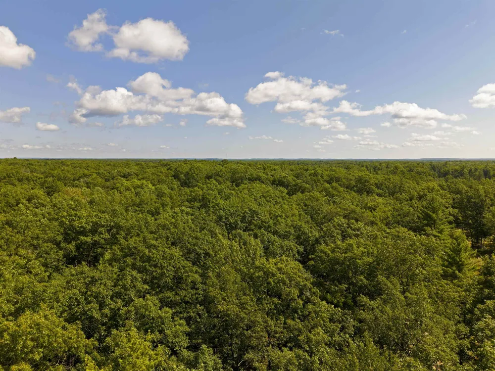 Supply Road Whitewater Township, MI 49686