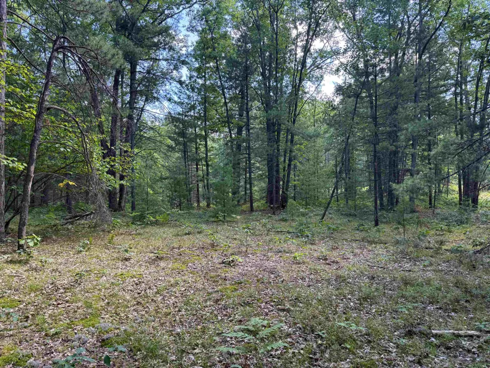 Supply Road Whitewater Township, MI 49686