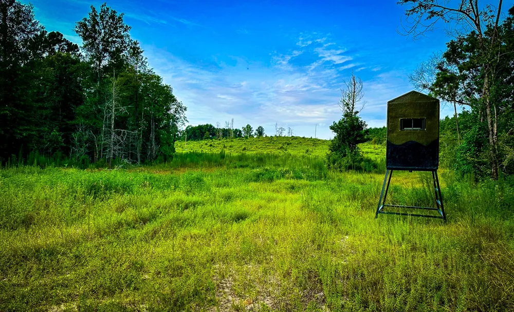Segno Fire Lane Livingston, TX 77351