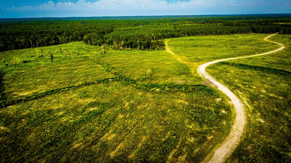 Segno Fire Lane Livingston, TX 77351