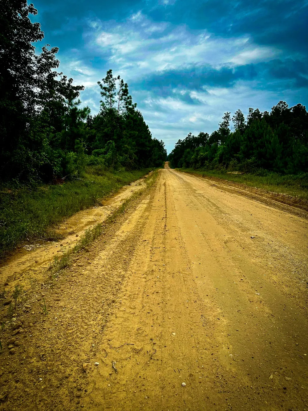 Segno Fire Lane Livingston, TX 77351