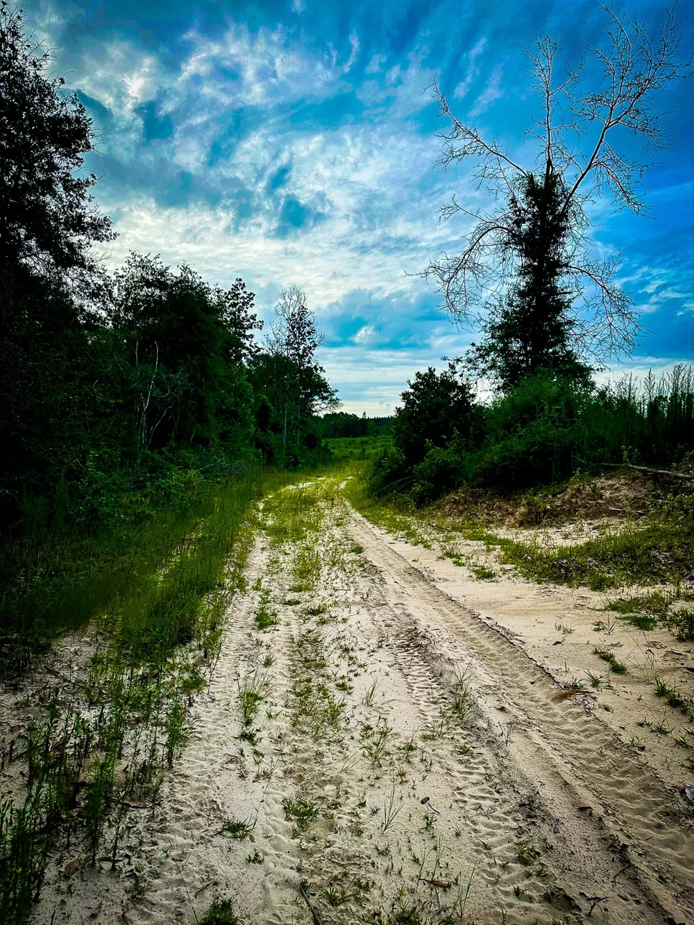 Segno Fire Lane Livingston, TX 77351