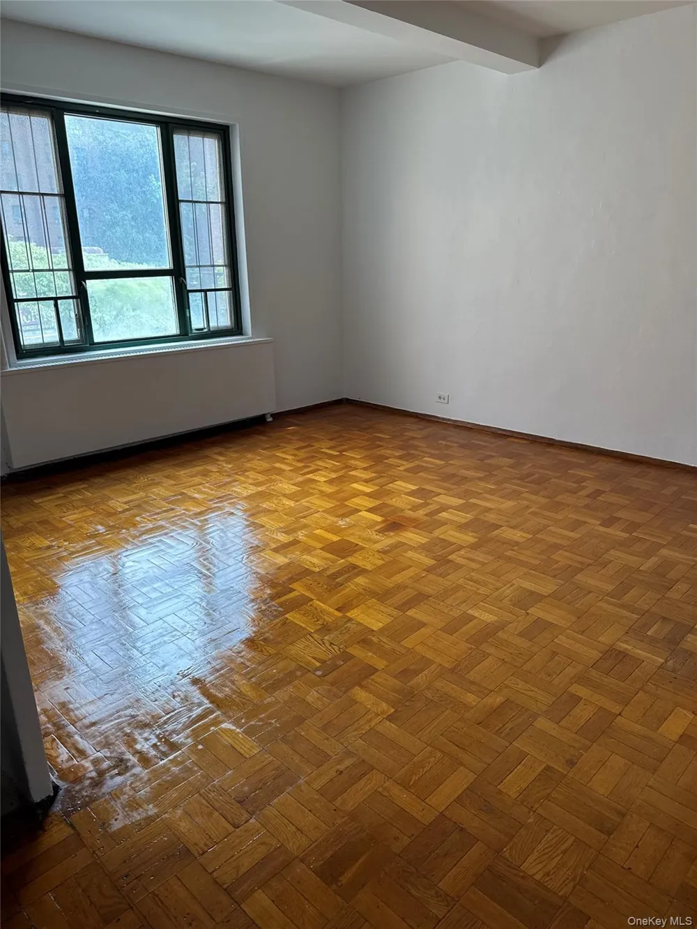 1380 Virginia Avenue #3H Bronx, NY 10462