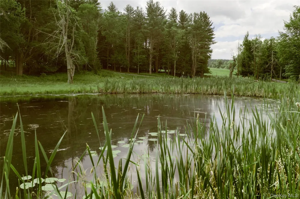 596 Perry Road Bethel, NY 12720