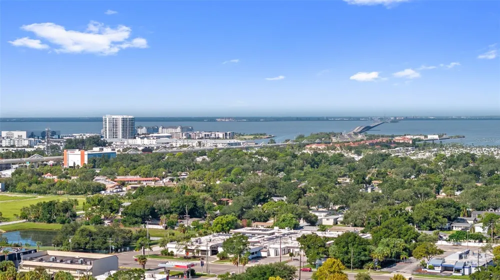 4227 LA PALMA COURT Tampa, FL 33611