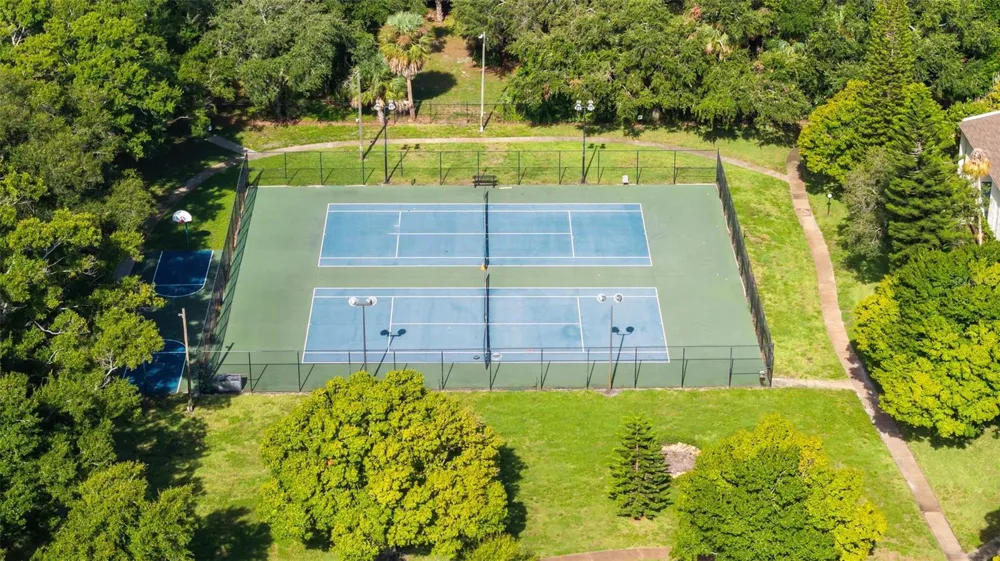 4227 LA PALMA COURT Tampa, FL 33611