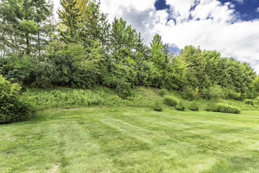 1300 Timmins Drive Scio Township, MI 48103