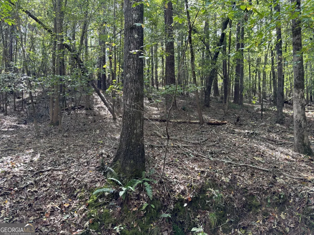 0 N Pointe Drive Tignall, GA 30668