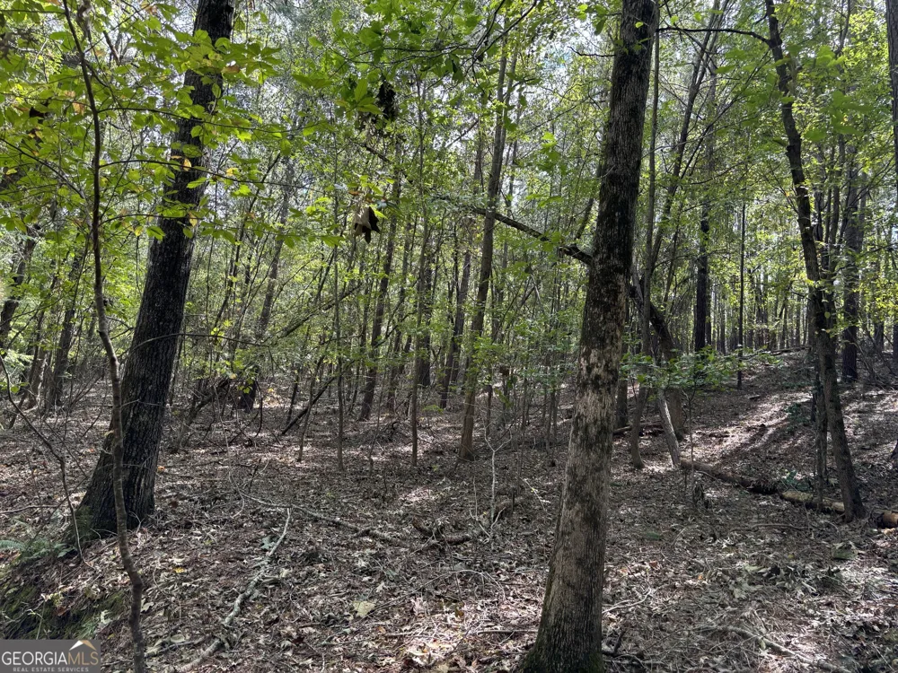 0 N Pointe Drive Tignall, GA 30668