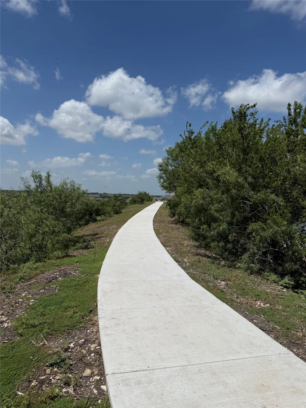785 Whoopers Loop Uhland, TX 78640