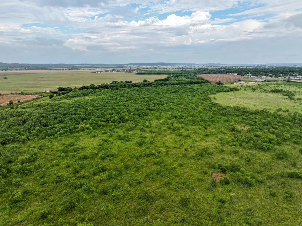 171 Badger Den Tuscola, TX 79562