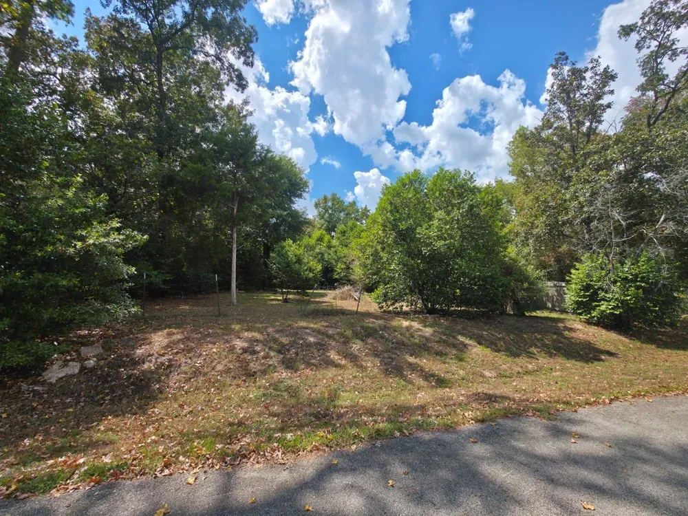 Bonham Ln Willis, TX 77378
