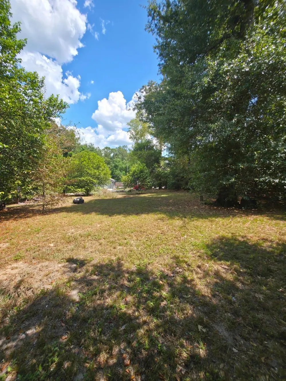Bonham Ln Willis, TX 77378