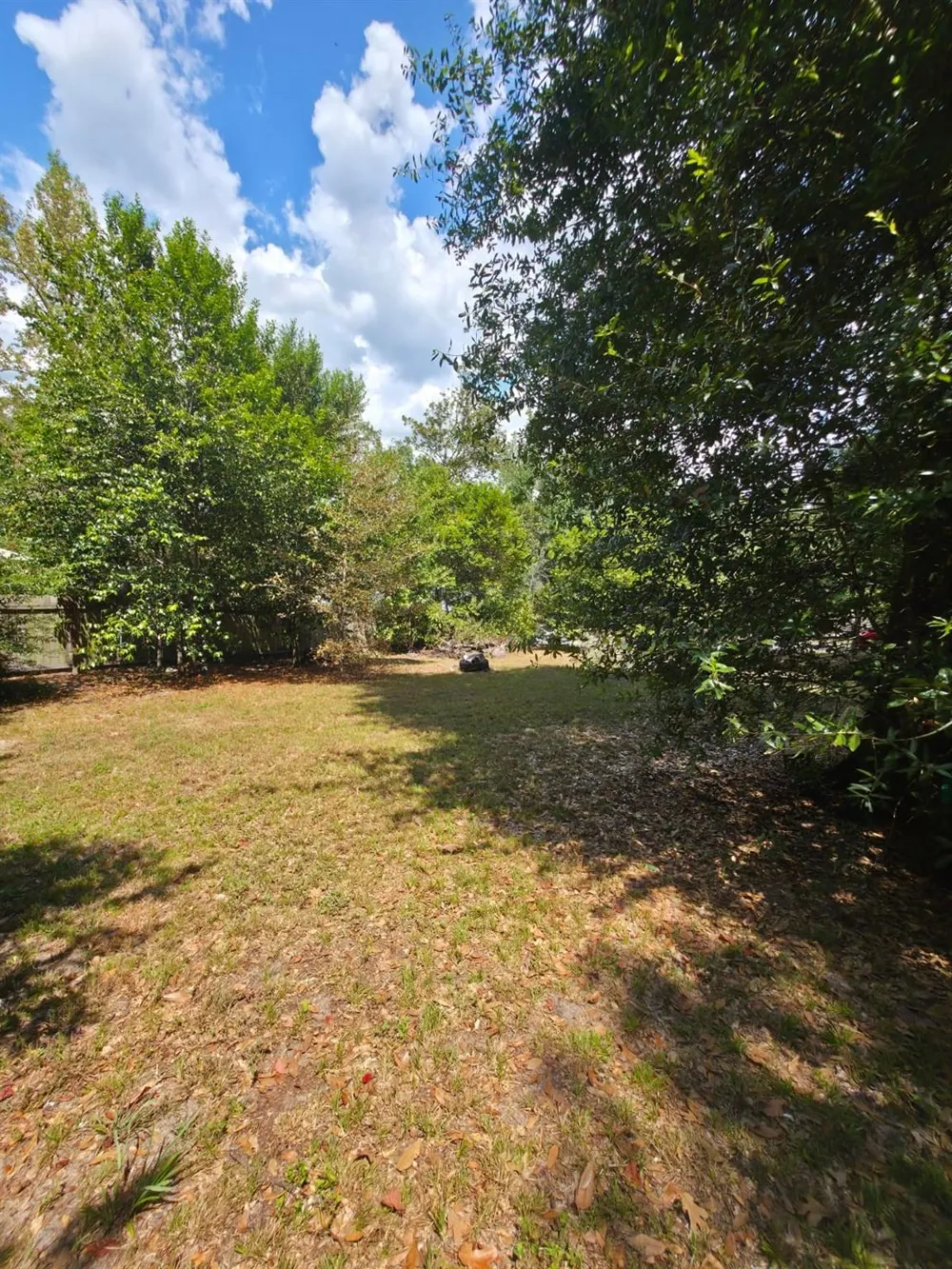 Bonham Ln Willis, TX 77378