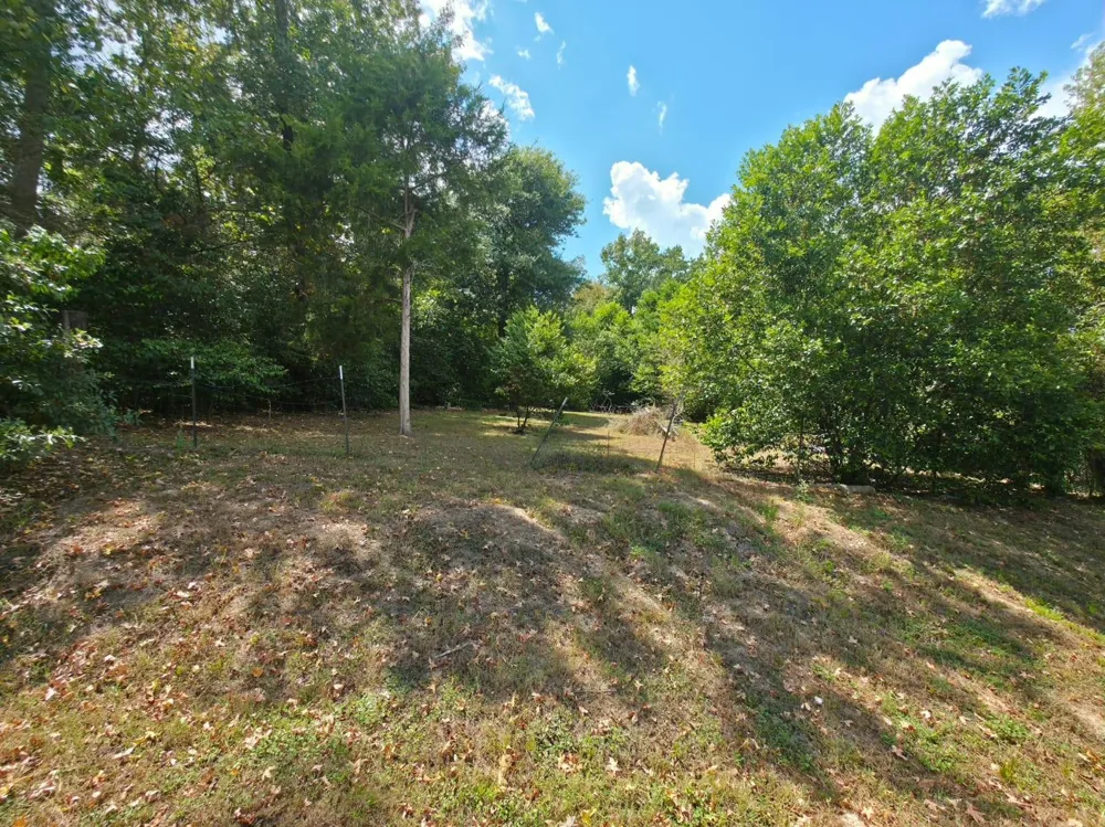 Bonham Ln Willis, TX 77378