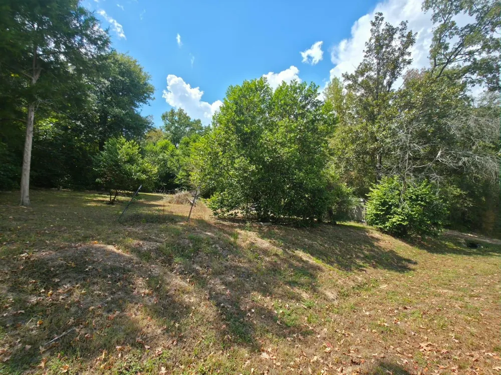 Bonham Ln Willis, TX 77378