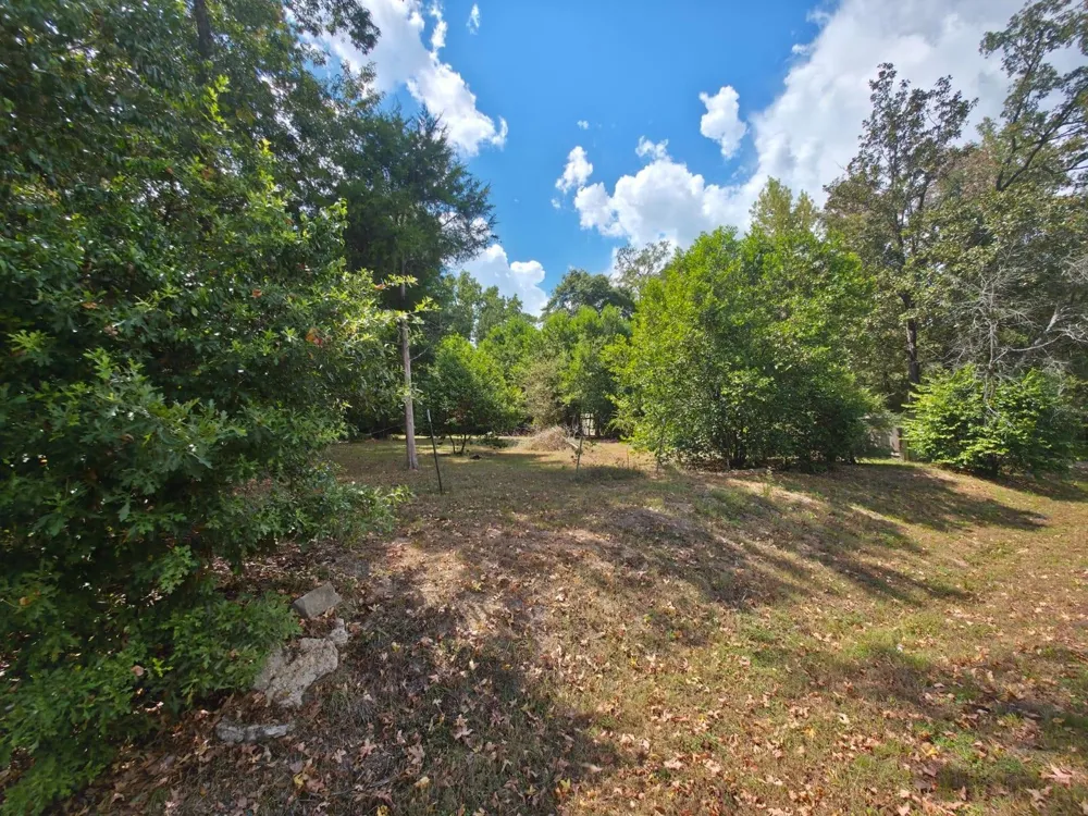Bonham Ln Willis, TX 77378